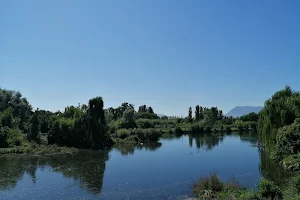 Lago Dei Cigni image