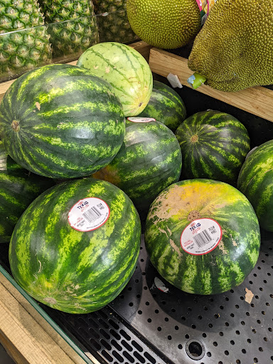 Grocery Store «H-E-B», reviews and photos, 7988 Farm to Market Rd 1488, Magnolia, TX 77354, USA