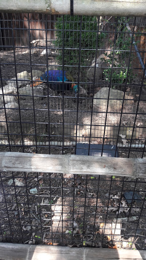 Park «Kawameeh Park», reviews and photos, 1750 Morris Ave, Union, NJ 07083, USA