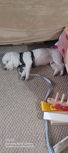 Department Store «Walmart Supercenter», reviews and photos, 844 N Colony Rd, Wallingford, CT 06492, USA