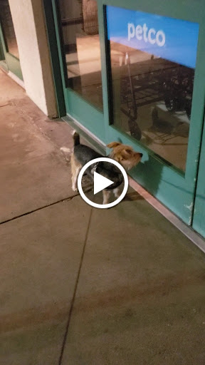 Pet Supply Store «Petco Animal Supplies», reviews and photos, 8800 Tampa Ave, Northridge, CA 91324, USA