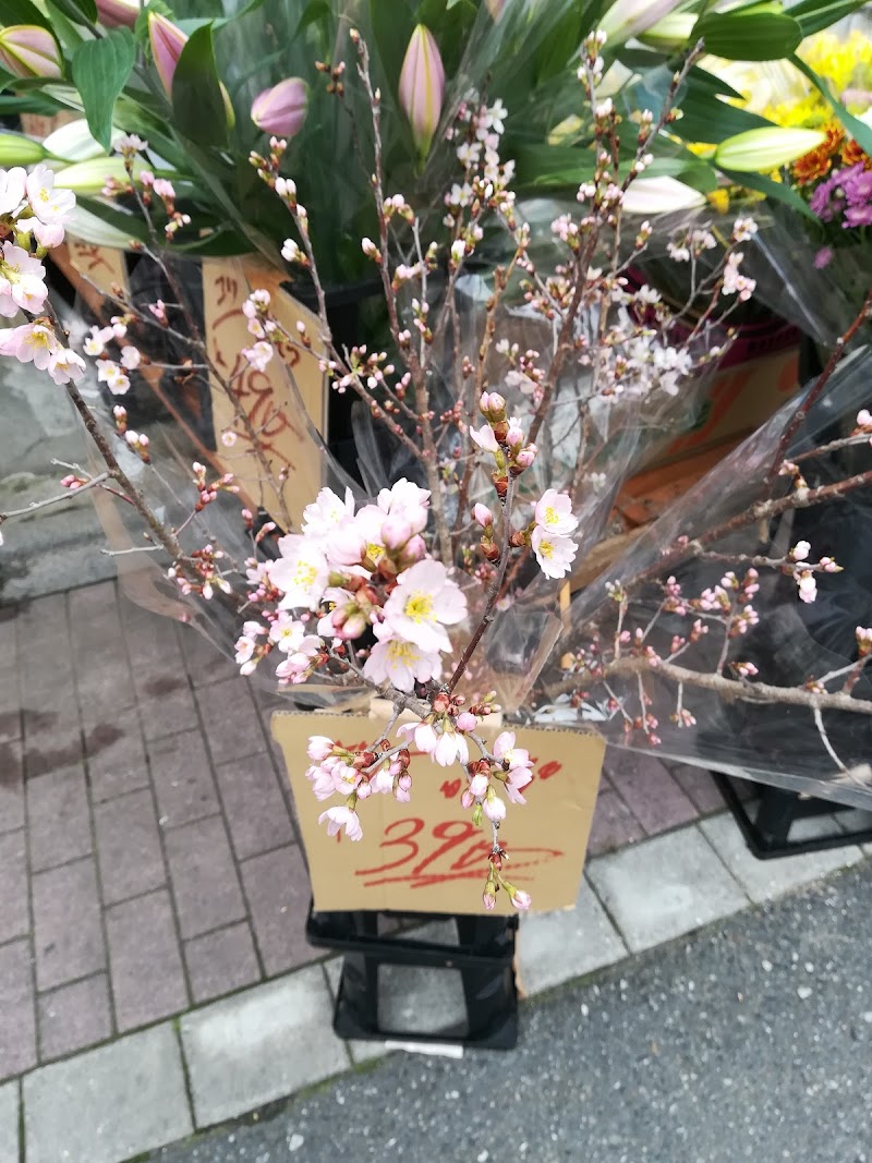 中板橋安売場 ゴゴイチ 花店 東京都板橋区中板橋 花屋 花 グルコミ