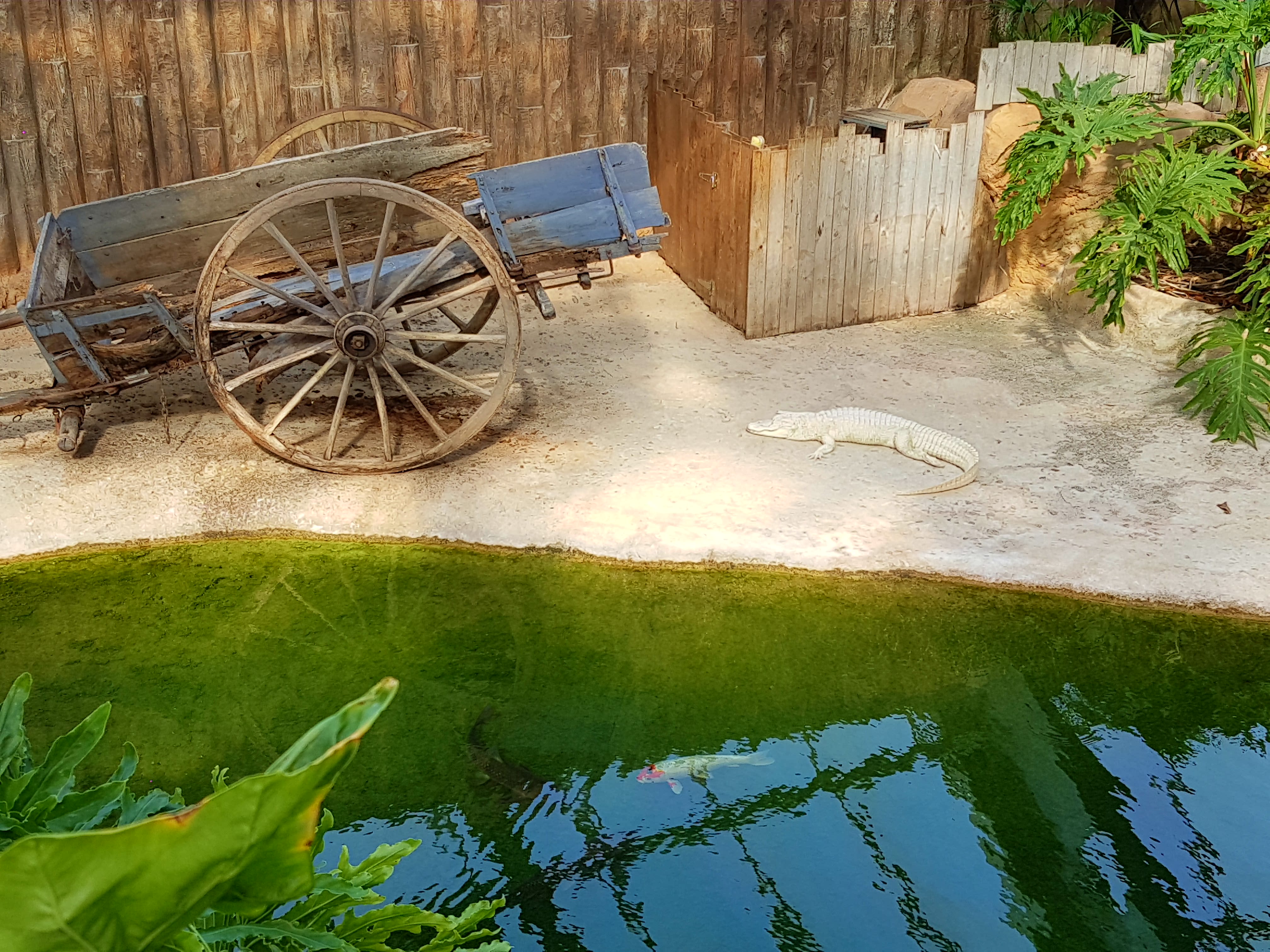 Photo n° 4 de l'avis de Gégé.e fait le 06/09/2020 à 16:49