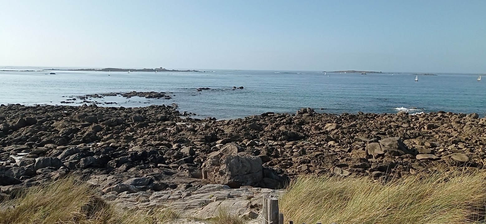 Photo n° 1 de l'avis de Anthony.a fait le 22/08/2022 à 17:12