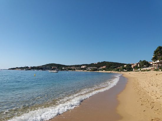 Porto Pollo beach