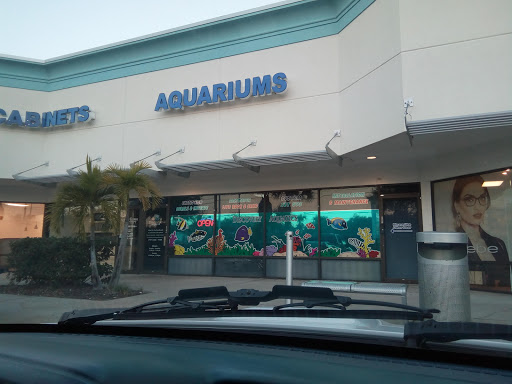Discovery Aquatics - Marine Fish, Coral, Saltwater Fish Store, 36037 US Hwy 19 N, Palm Harbor, FL 34684, USA, 