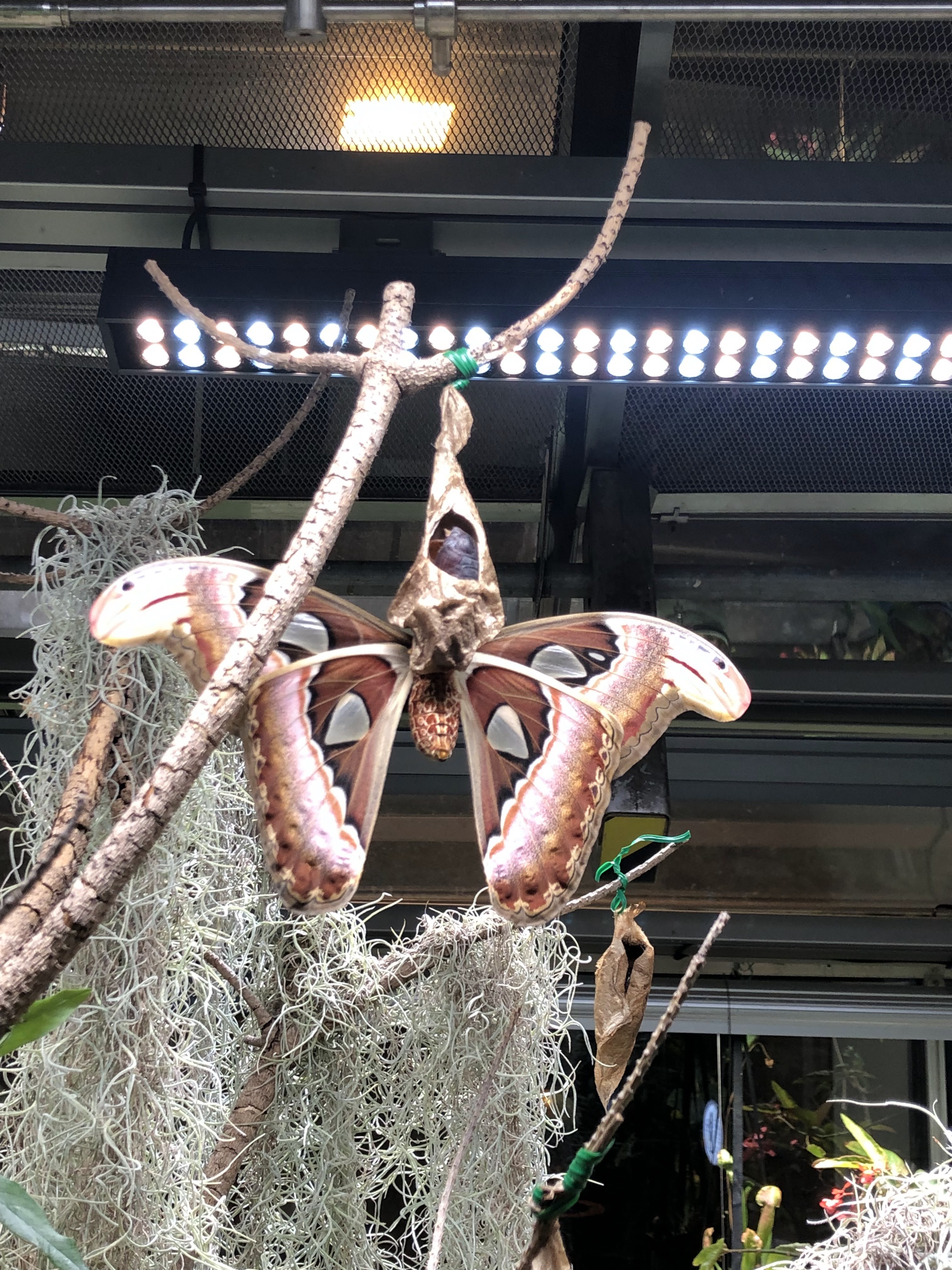 Photo n° 18 de l'avis de Nicolas.a fait le 07/06/2022 à 05:35