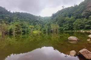 Balinsasayao Twin Lakes Nature Park Tourist Information Center image