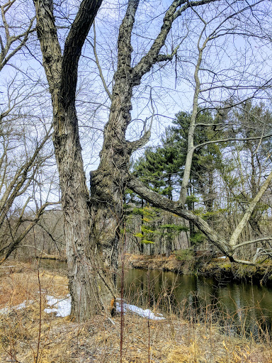 Tourist Attraction «Blackstone Valley Bike Path», reviews and photos, 207 N Main St, Millbury, MA 01527, USA