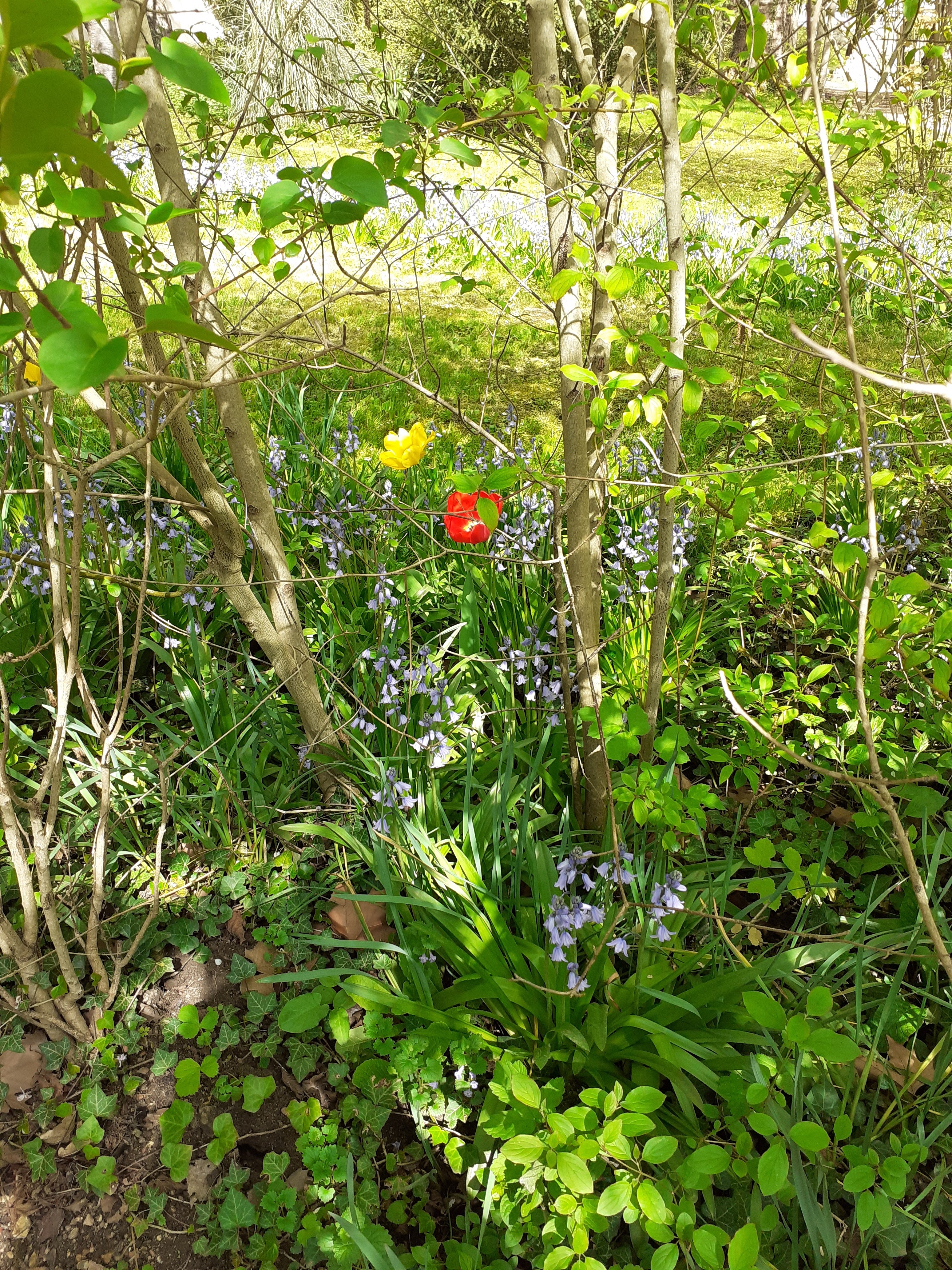 Photo n° 10 de l'avis de Ludovic.a fait le 15/04/2022 à 13:42