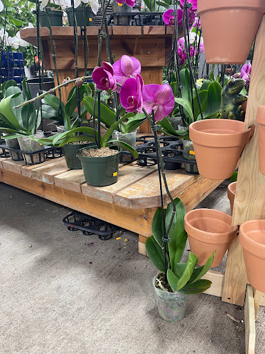 Florist «Metropolitan Plant & Flower Exchange Inc.», reviews and photos, 2125 Fletcher Ave, Fort Lee, NJ 07024, USA