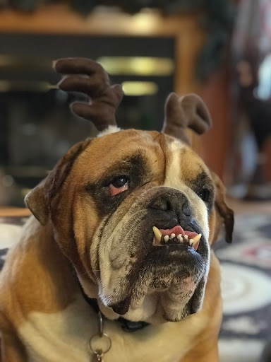 Motorcycle Dealer «Mt. Holly Motorsports», reviews and photos, 2044 US-206, Vincentown, NJ 08088, USA