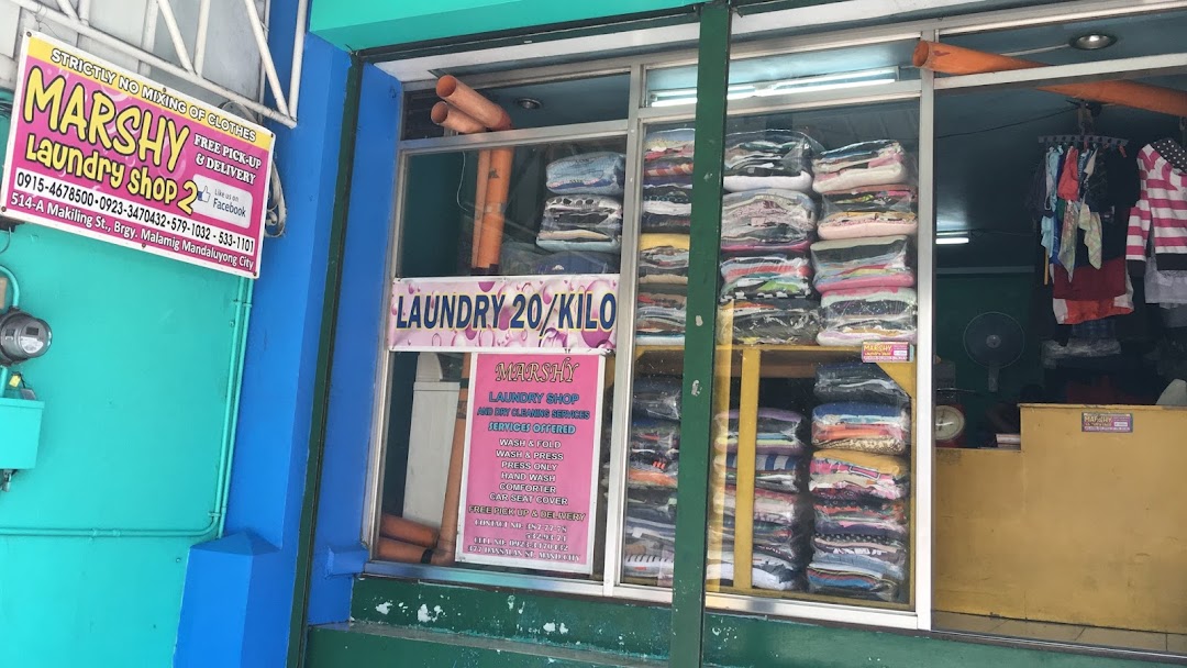 Marshy Laundry Shop