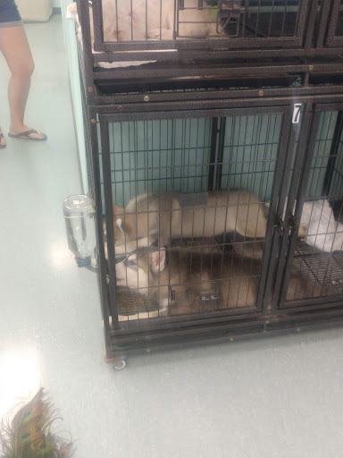 Pet Store «The Pet Stop», reviews and photos, 9128 E Foothill Blvd, Rancho Cucamonga, CA 91730, USA