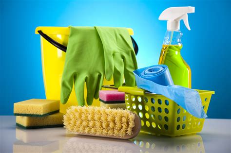 My Tampa Cleaning Service in Tampa, Florida