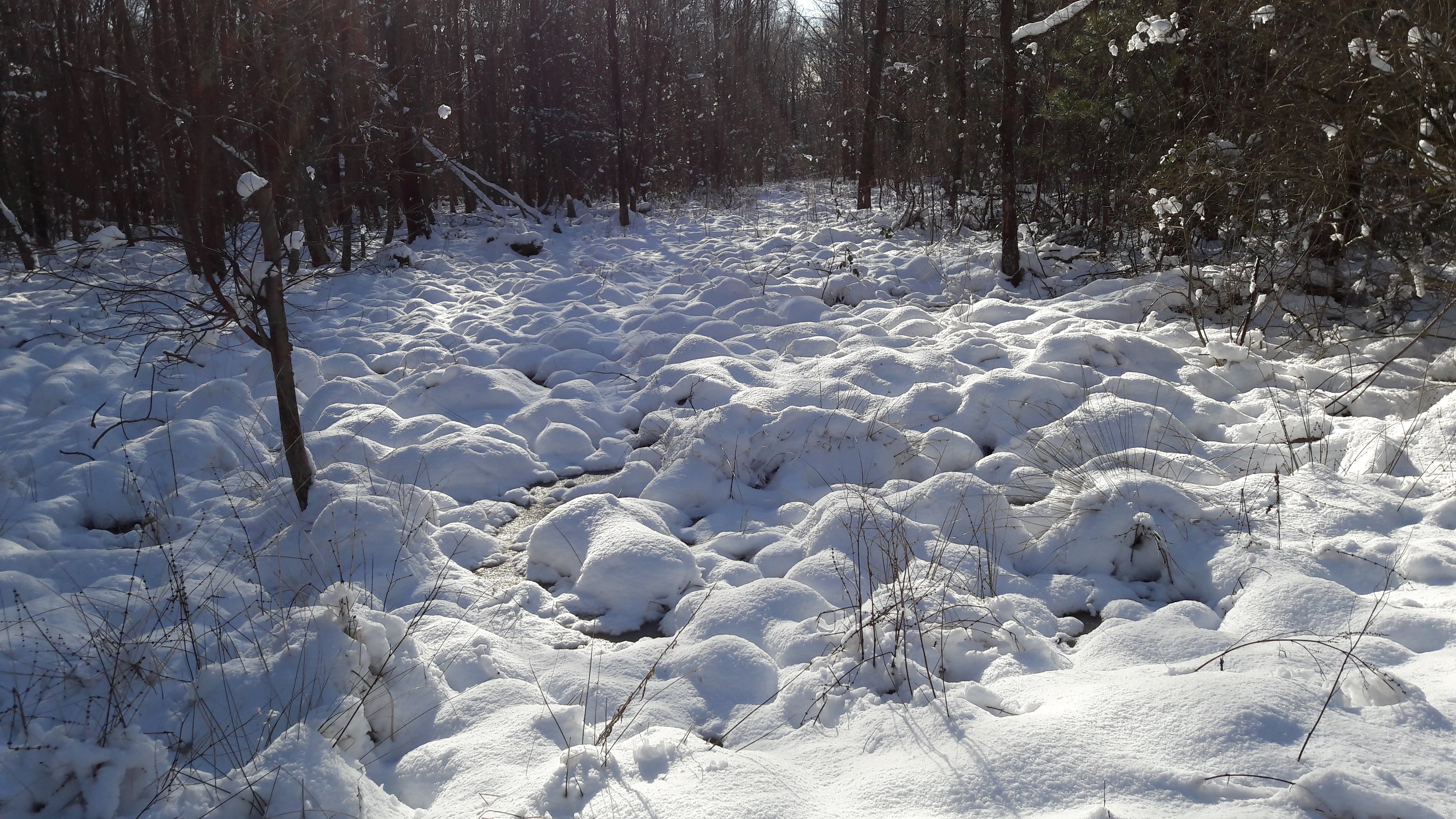 Photo n° 4 de l'avis de Gilles. fait le 10/02/2018 à 17:11