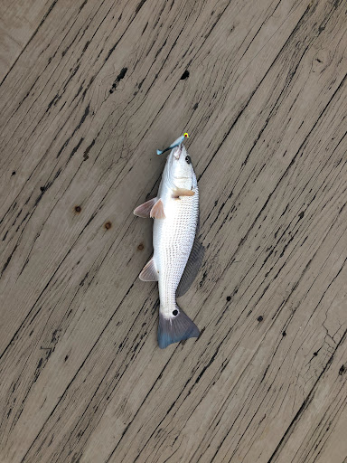 Outdoor Sports Store «The Tackle Box», reviews and photos, 22035 Three Notch Rd, Lexington Park, MD 20653, USA