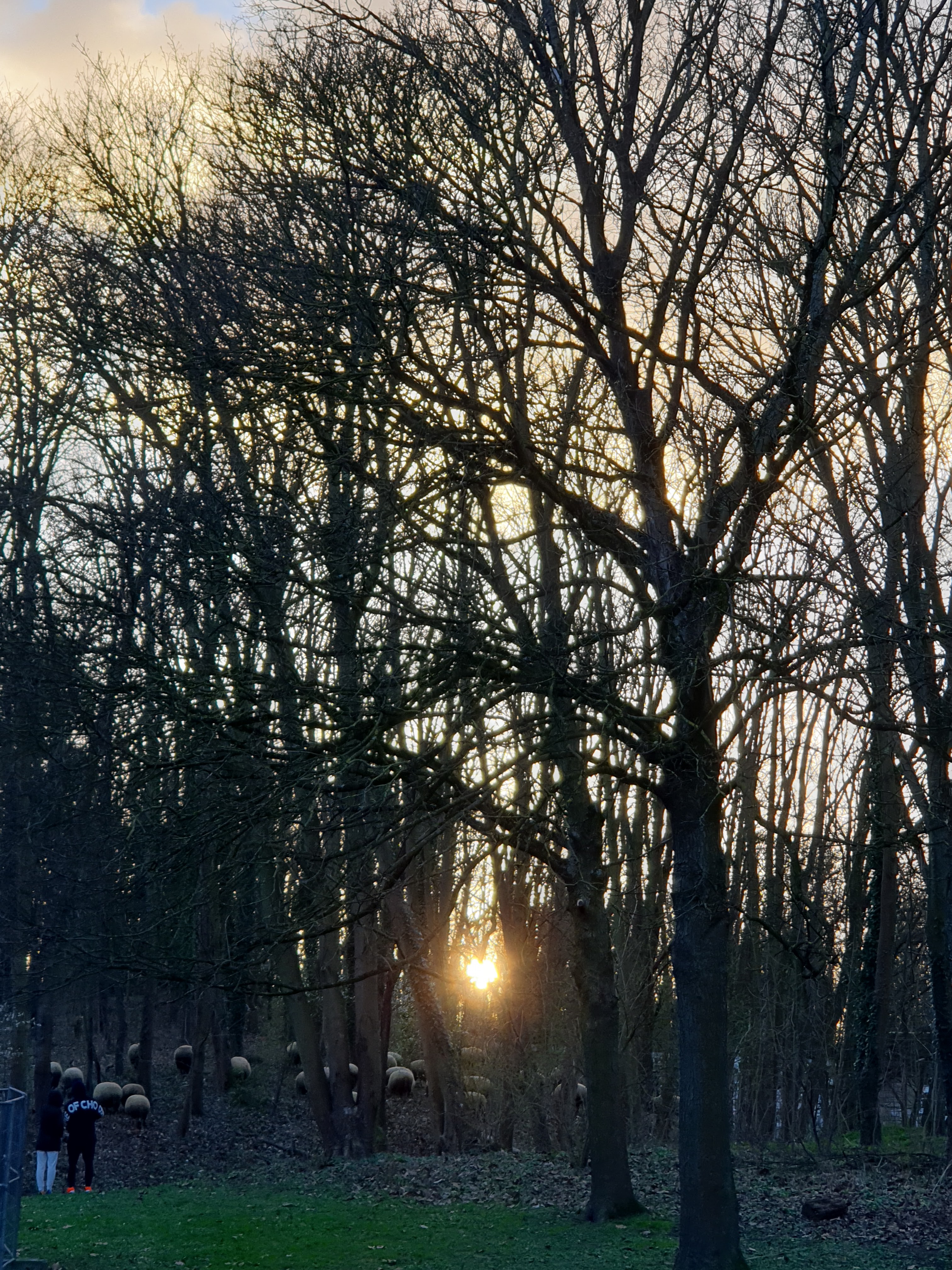 Photo n° 38 de l'avis de Maria.o fait le 01/01/2018 à 17:41