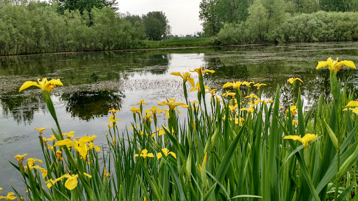 Golf Club «West Bend Lakes Golf Club», reviews and photos, 1241 WI-33, West Bend, WI 53095, USA