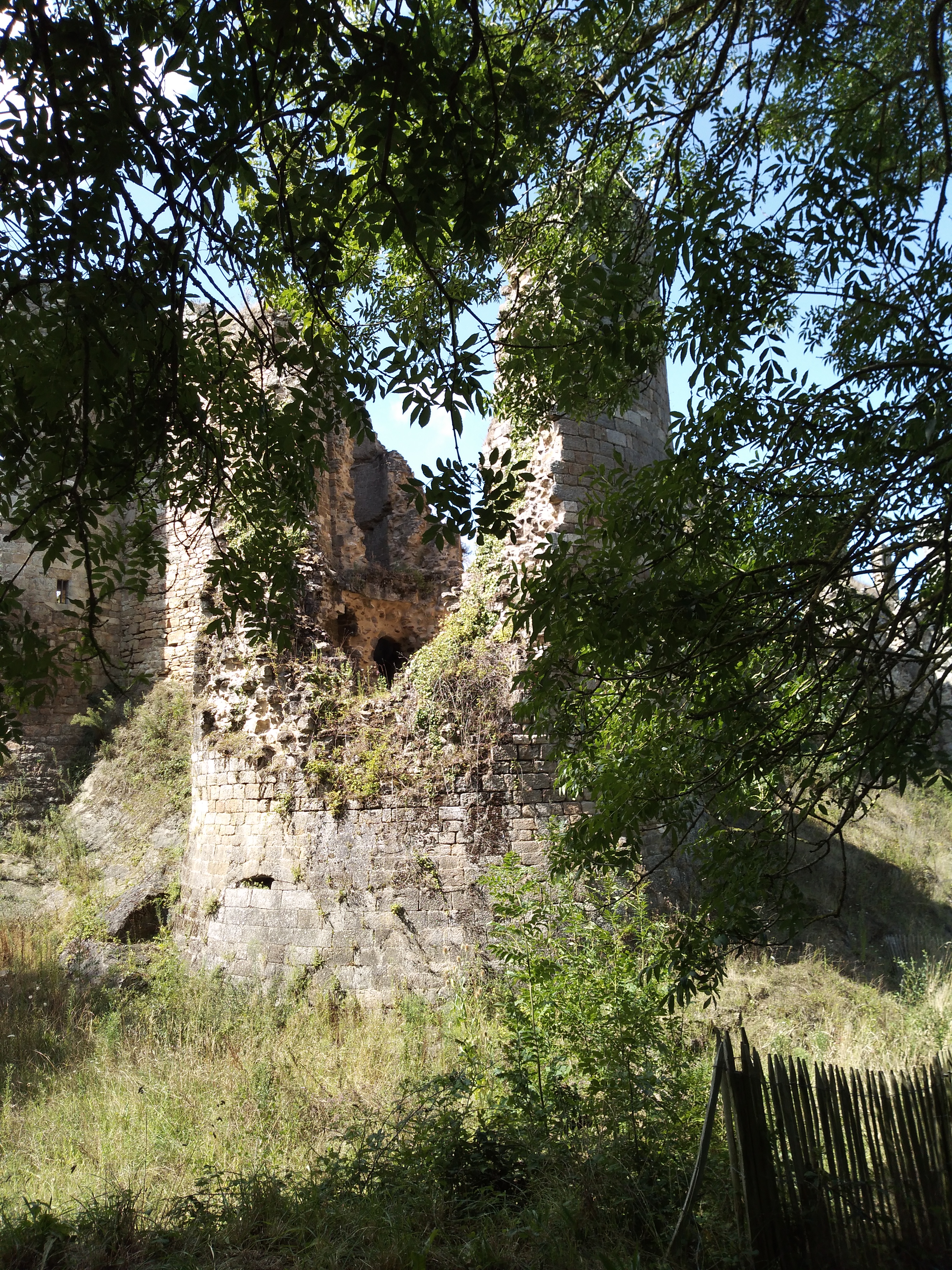 Photo n° 2 de l'avis de Zabou.e fait le 20/08/2019 à 15:33