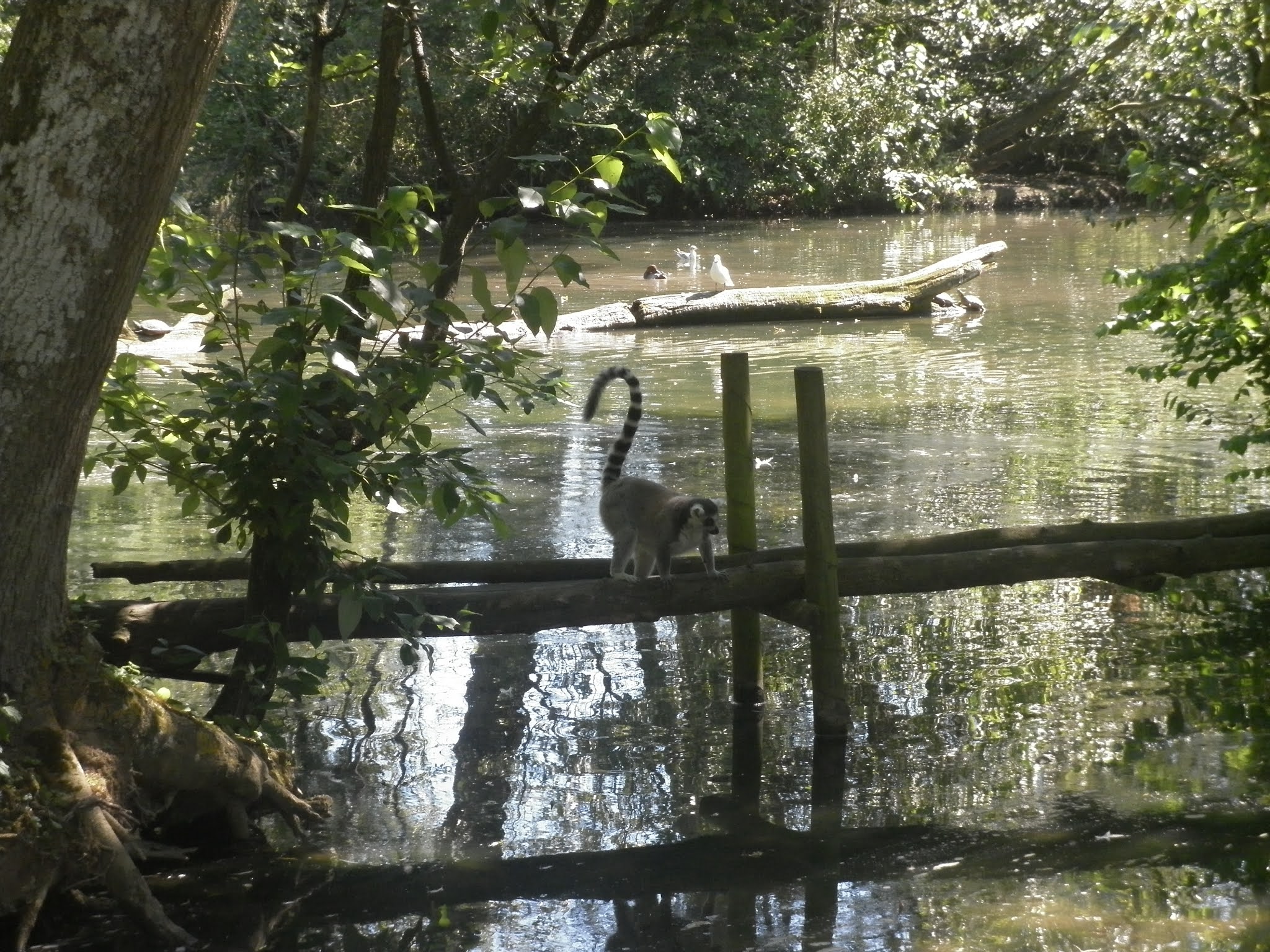 Photo n° 5 de l'avis de Psytrance.p fait le 06/06/2021 à 23:54