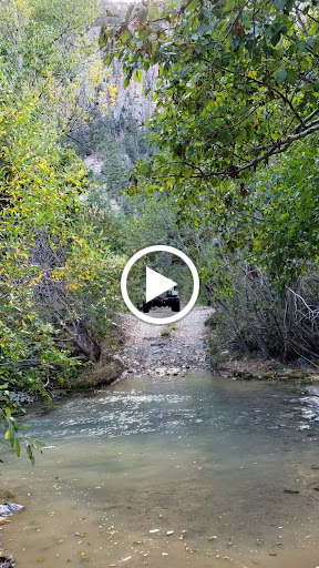 Mechanic «Horizon Auto Center», reviews and photos, 5335 Horizon Rd, Rockwall, TX 75032, USA