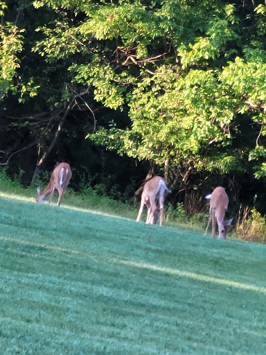 State Park «Evansburg State Park», reviews and photos, 851 Mayhall Rd, Collegeville, PA 19426, USA