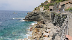 Foto di Spiaggia Rosadimare area servizi