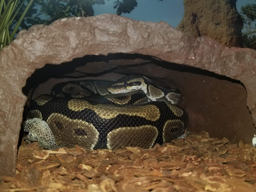 Tourist Attraction «IMAG History & Science Center (formerly Imaginarium Science Center)», reviews and photos, 2000 Cranford Ave, Fort Myers, FL 33916, USA