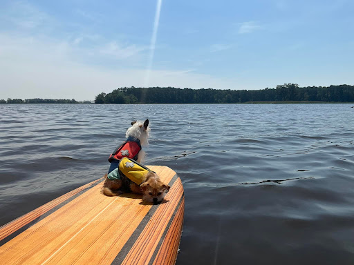 Boat Rental Service «Blackwater Paddle and Pedal Adventures», reviews and photos, 2524 Key Wallace Dr, Cambridge, MD 21613, USA