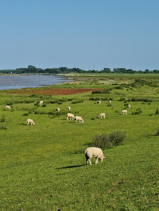 Das Rheiderland 26844 Jemgum, Deutschland