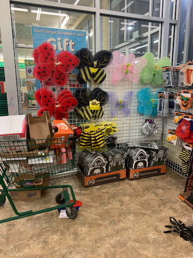 Dollar Store «Dollar Tree», reviews and photos, 230 W Lake St, Addison, IL 60101, USA