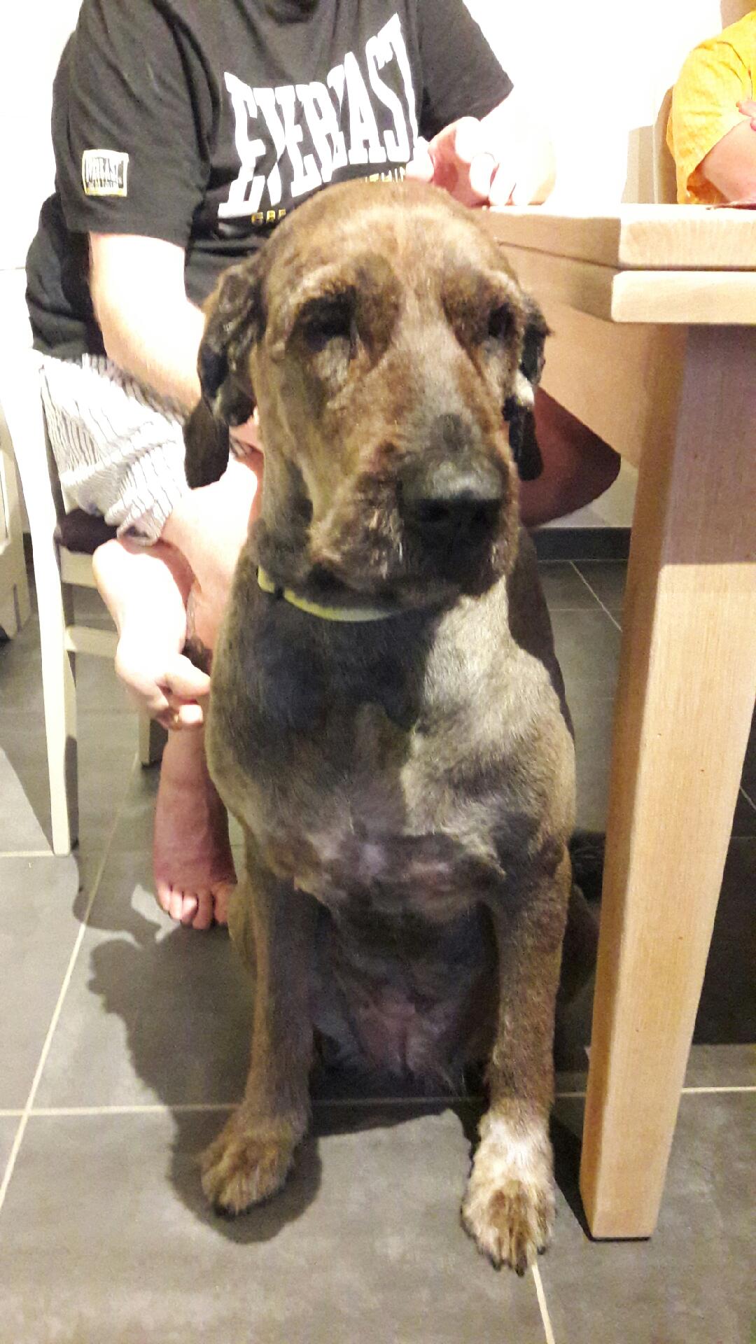 Photo n° 3 de l'avis de Christine.e fait le 18/05/2019 à 11:05
