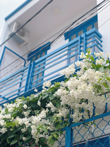 Andy Homestay Vũng Tàu