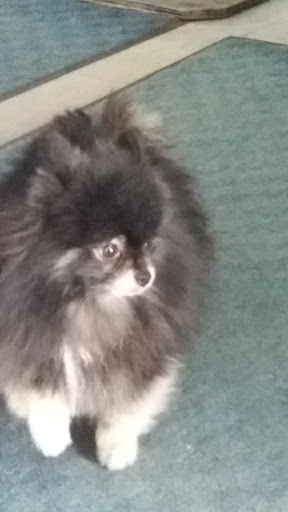 Tropical Fish Store «Marine Oasis», reviews and photos, 5340 W Ridge Rd, Spencerport, NY 14559, USA