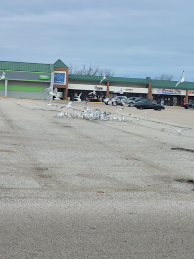 Auto Auction «Waukegan Auto Auction», reviews and photos, 2731 Belvidere Rd, Waukegan, IL 60085, USA