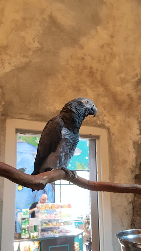 Pet Supply Store «PetKraze», reviews and photos, 100 Independent Way, Brewster, NY 10509, USA