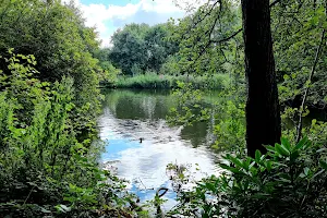 Wolseley Park image