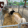 The Ark Open Farm