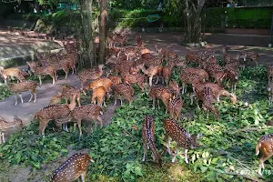 Deer Enclosure image