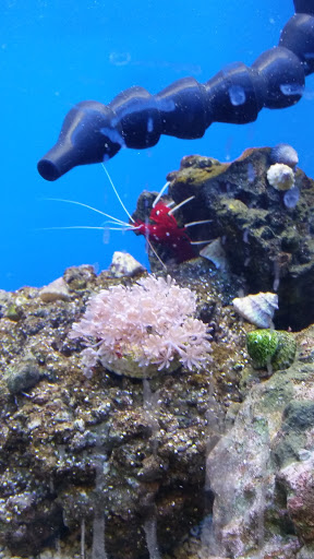 Pet Supply Store «Petco Animal Supplies», reviews and photos, 3680 Spencer Hwy, Pasadena, TX 77504, USA