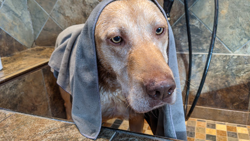 Pet Store «Pet Valu», reviews and photos, 11839 W Broad St, Henrico, VA 23233, USA