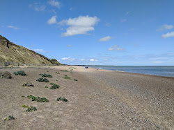 Foto van Dunwich strand wilde omgeving