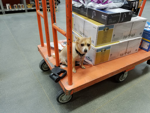 Home Improvement Store «The Home Depot», reviews and photos, 79900 CA-111, La Quinta, CA 92253, USA