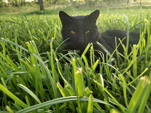 Water Park «Hawaiian Falls Waco», reviews and photos, 900 Lake Shore Dr, Waco, TX 76708, USA