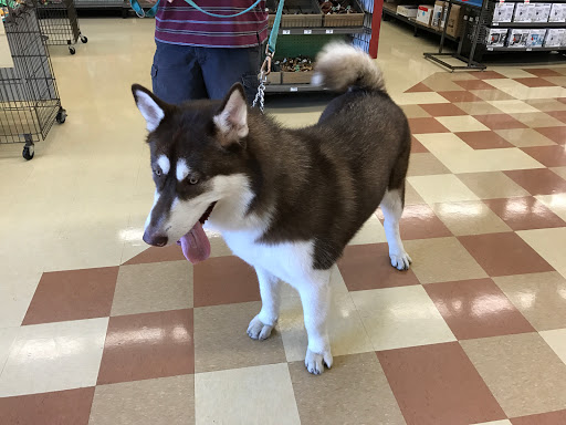 Pet Supply Store «Petco Animal Supplies», reviews and photos, 8213 Hwy 72 W c, Madison, AL 35758, USA