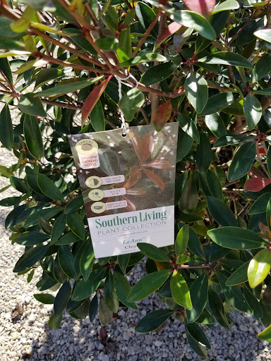 Plant Nursery «Guerin Nursery and Boutique», reviews and photos, 1418 Fall Creek Hwy, Granbury, TX 76049, USA