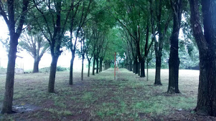 Arqueria Totoras - Club De Cazadores Patria Y Deporte