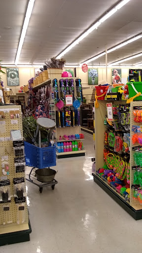 Craft Store «Hobby Lobby», reviews and photos, 505 N Foothills Plaza Dr, Maryville, TN 37801, USA