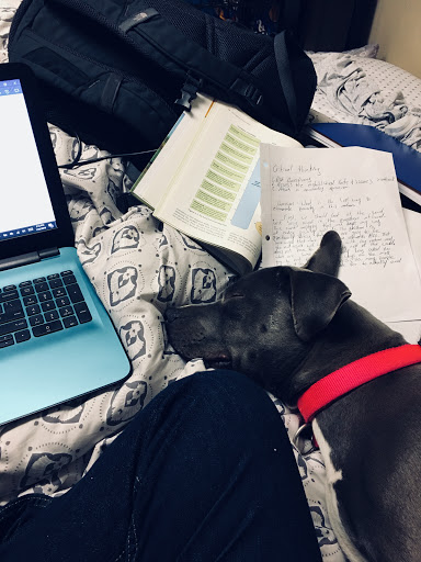 Electronics Store «Best Buy», reviews and photos, 1375 Polaris Pkwy, Columbus, OH 43240, USA